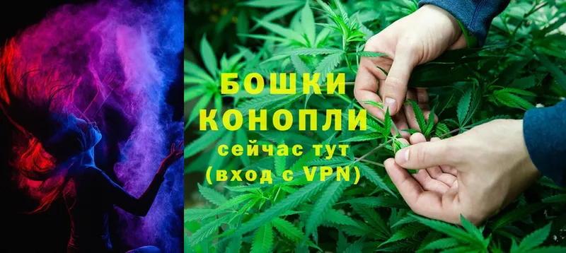 где можно купить наркотик  это как зайти  Марихуана SATIVA & INDICA  Новочебоксарск  mega tor 